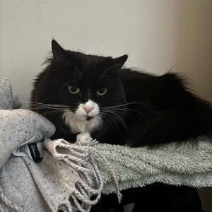 Meet your Posher, Matthew